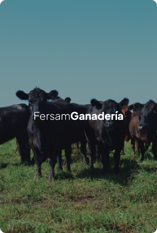 ganaderia